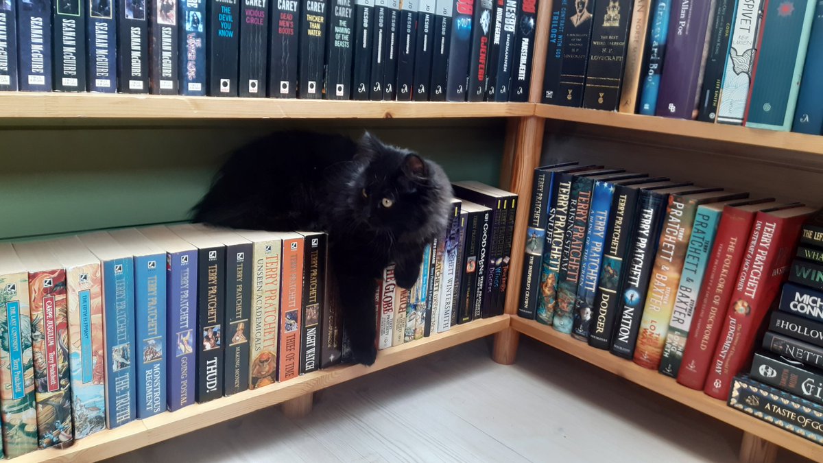 New kitten in the house, so ALL photos are pet photos 😅 She's hanging out with the works of <a href="/seananmcguire/">Seanan McGuire</a> <a href="/terryandrob/">Terry Pratchett 🖤 🤍👽 🐇</a> and others 📚🐈‍⬛❤