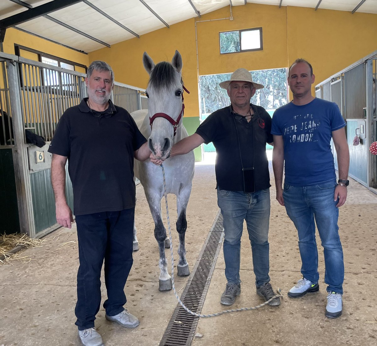 VoxInca's tweet photo. 🐎 Hoy hemos estado en el @sonvivot8 donde celebran la Feria de abril, gran ambiente con espectáculos a caballo y bailadoras 💃🏼 Hoy hasta las 00:00h.

Nuestro candidato @xisco_pol junto a parte de su equipo ha estado apoyando a Jaume y a todo el centro ecuestre. 

#cuidalotuyo https://t.co/Bam18ZfLtE