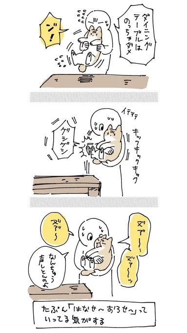チビは抱っこされるの好きじゃないし、ろんはめちゃくちゃ重い 