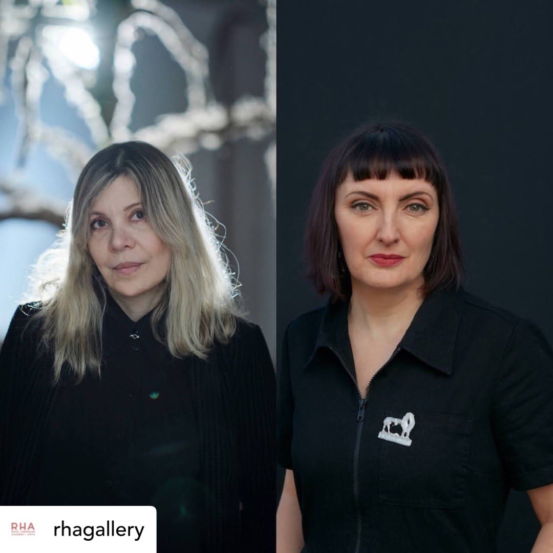 💥on the 19th April at 17:30pm | RHA 💥 I will be in conversation with the AMAZING Sinéad Gleeson @sineadgleeson 
•
I am incredibly excited and honoured 🙌 - and obviously nervous…
•
All welcome ⚡️
•
@rhagallery #contemporary #irishartists #irishwriters #ecofeminism
