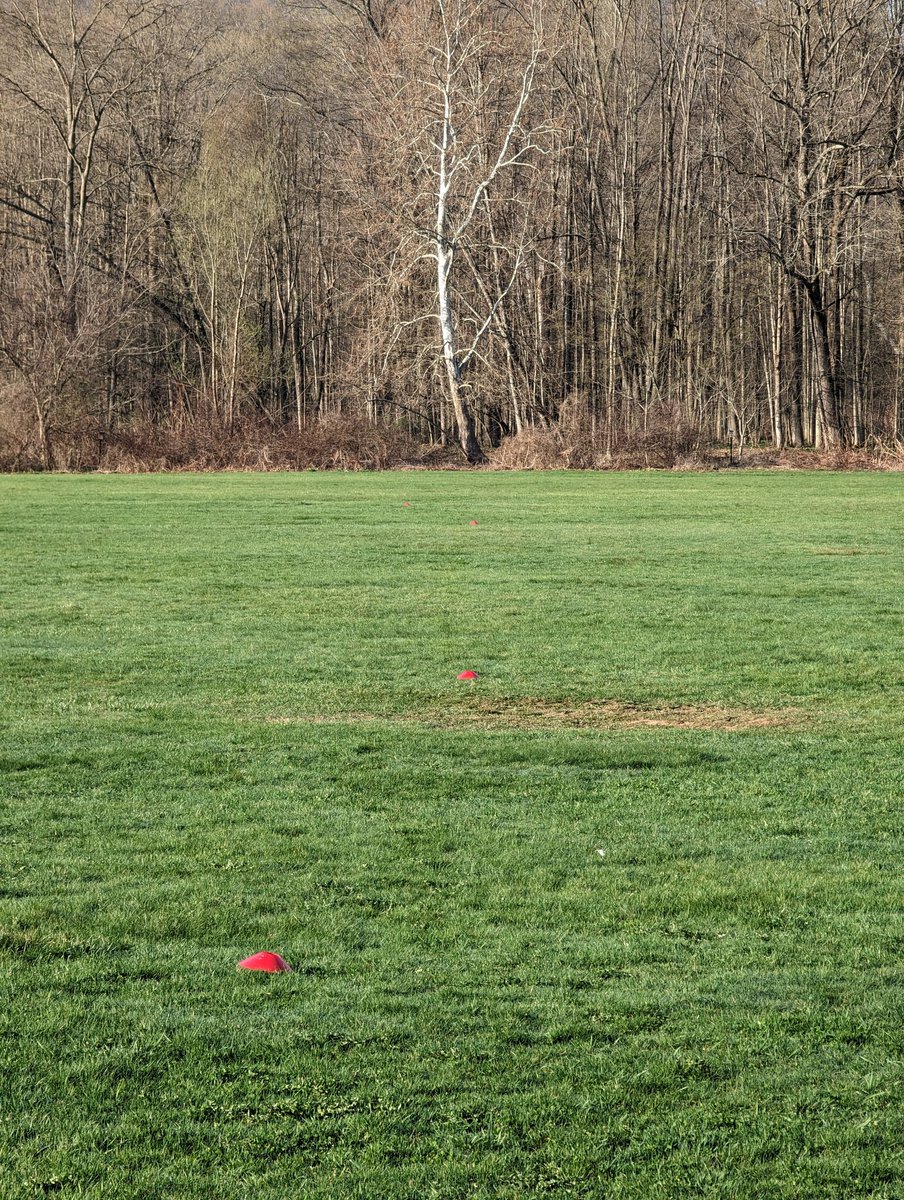 Terrifying Turtles tweet media