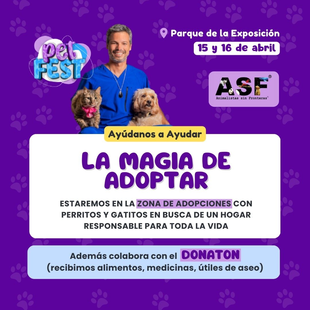 ASF_Prensa's tweet photo. Los próximos días 15 y 16 de abril estaremos participando en la Gran Feria 
@petfestperu
 🐾

Estaremos en la ZONA DE ADOPCIONES llevando a perritos y gatitos en #adopcionresponsable 
Es una hermosa oportunidad para darle una nueva vida de amor para siempre a estos seres ❤️‍🩹🐶 https://t.co/bCfMwcnF9F