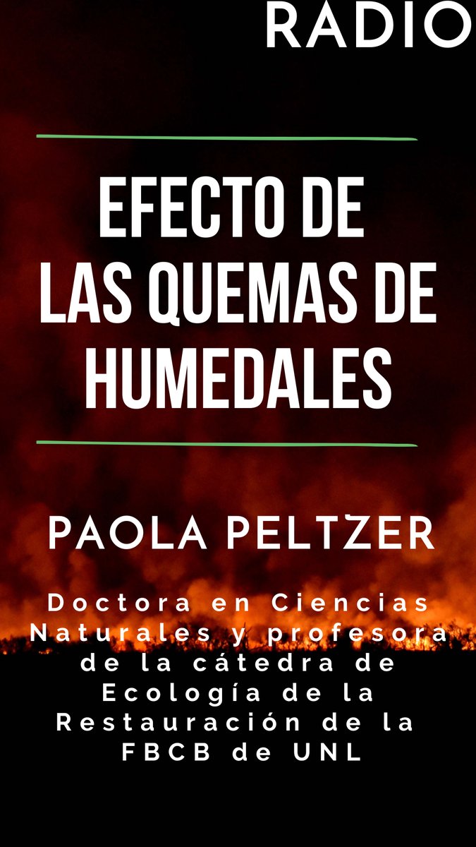 Estamos comunicados con Pao Peltzer, doctora en Ciencias Naturales y profesora de la <a href="/FBCB_UNL/">FBCB-UNL</a>, hablamos de una investigación sobre el efecto de las quemas en los #humedales. Escuchanos por <a href="/Nacional_StaFe/">Nacional Santa Fe</a>