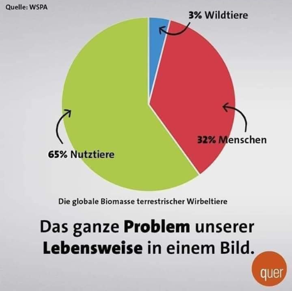 ExtinctionR_DE's tweet photo. @greenpeace_de @bund_net Auftakt ist beim Chemieriesen Bayer, der den massiven Pestizideinsatz weltweit verursacht und unmittelbar das Artensterben und die Gefahr für die Menschheit verstärkt.
#UnsichtbaresSichtbarMachen
#Frühlingsrebellion
#VielfaltLieben
#VielfaltLeben
4/7 https://t.co/XS6uekwEhY