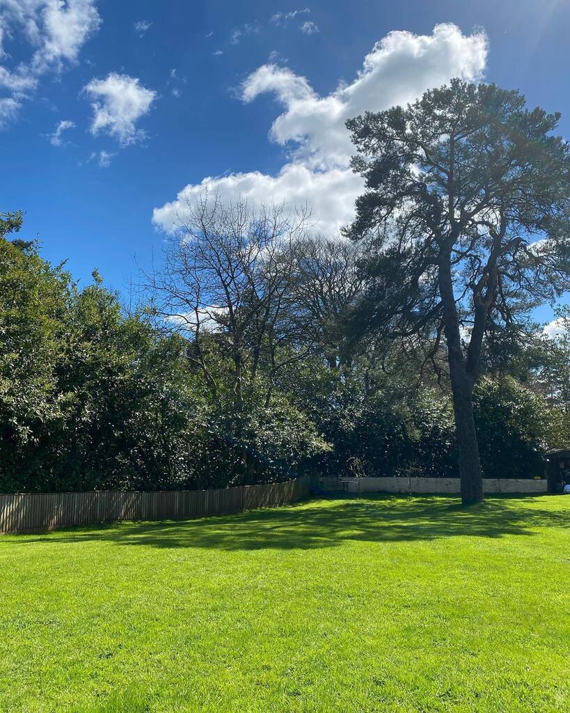 SCCHBandB's tweet photo. So  bc lively to be out tidying the garden in the sunshine!! ☀️🕶️

#sun #garden #tidying #springhassprung #staycation #holidayhome #devon #scchbandb #stoodleighstays #☀️ https://t.co/NizhyQRANk https://t.co/ZKY68NUAdd