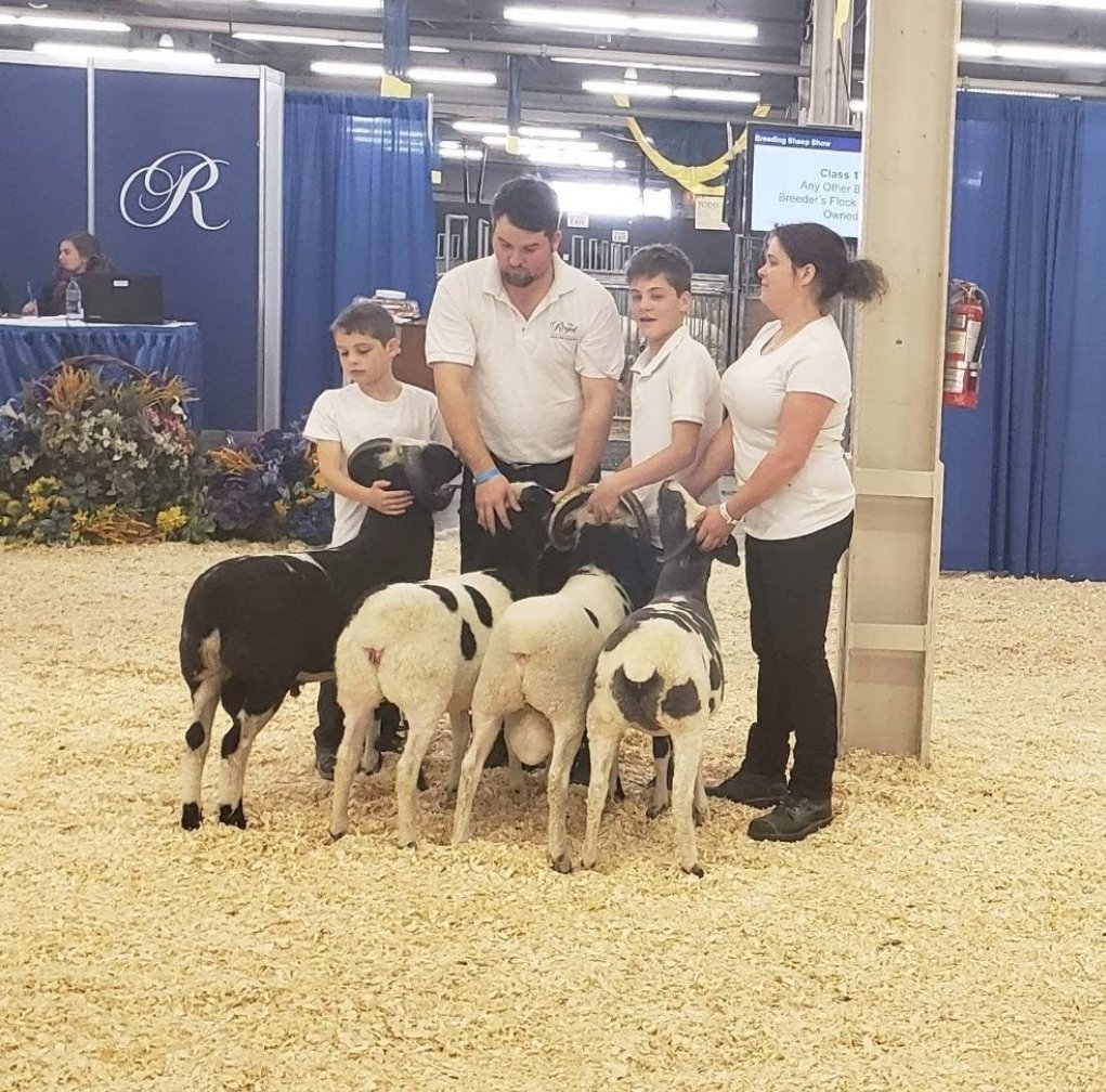 NesFarm's tweet photo. @InTownAndOut JACOBS ARE NOT GOATS!!!!! @AgMuseum

Yes they have horns but they also have wool, they are SHEEP https://t.co/Il22171OIp