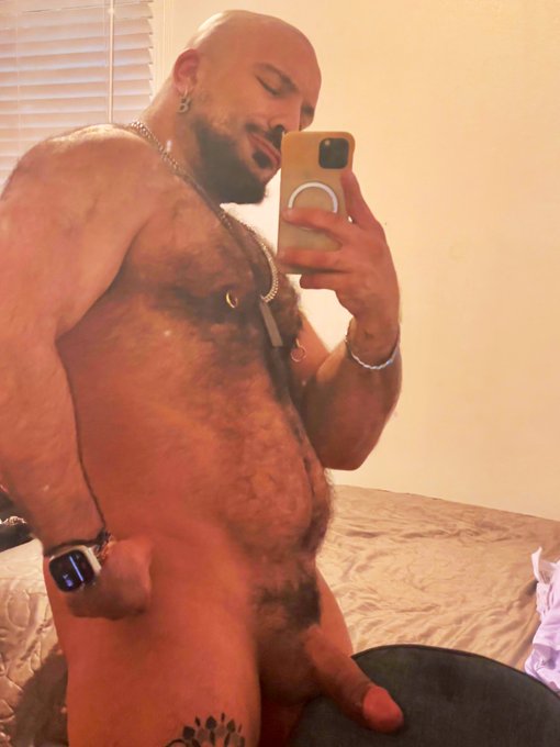 musclebears