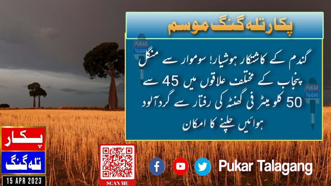 PukarTalagang's tweet photo. گندم کے کاشتکار آنے والے موسم سے الرٹ رہیں۔ سوموار سے منگل کو پنجاب کے مختلف علاقوں 45 سے 50 کلو میٹر فی گھنٹہ کی رفتار سے گردآلود ہوائیں چلنے سمیت چند مقامات پر ہلکی بارش کا امکان، تلہ گنگ، چکوال، اٹک، میانوالی گندم کے کاشتکار اتوار سے سوموارتک اپنی فصل کو سمیٹنے کی کوشش کر لیں https://t.co/pD5tj5kQJR