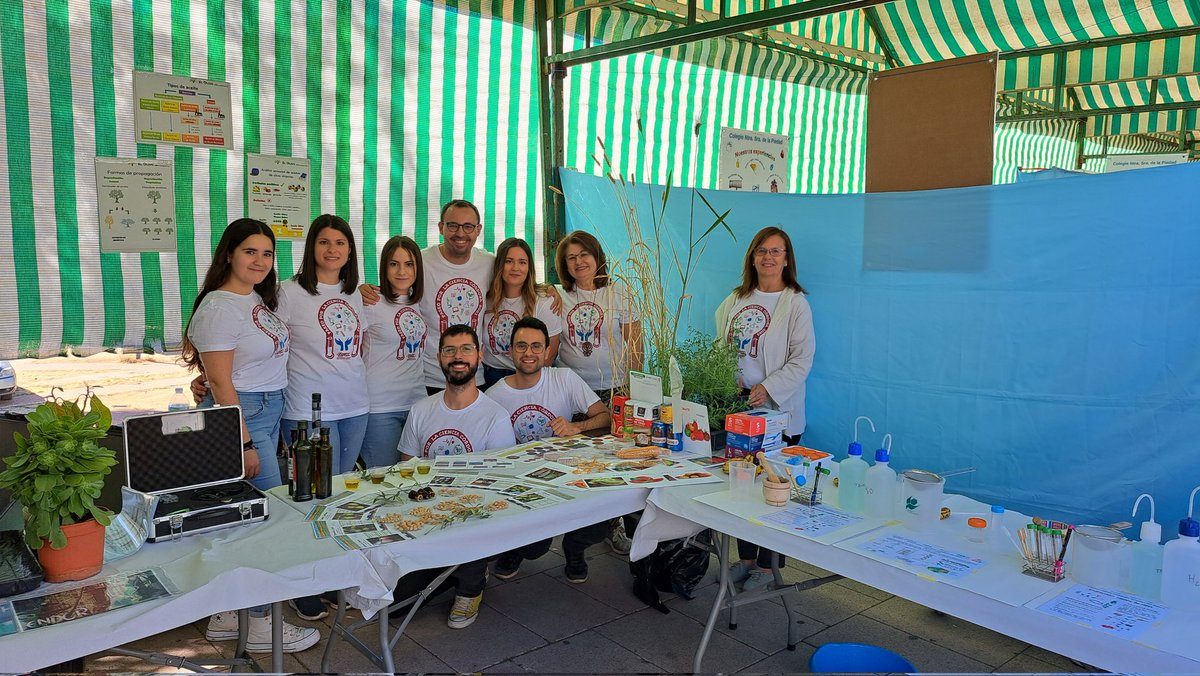 mejoradeolivo tweet media