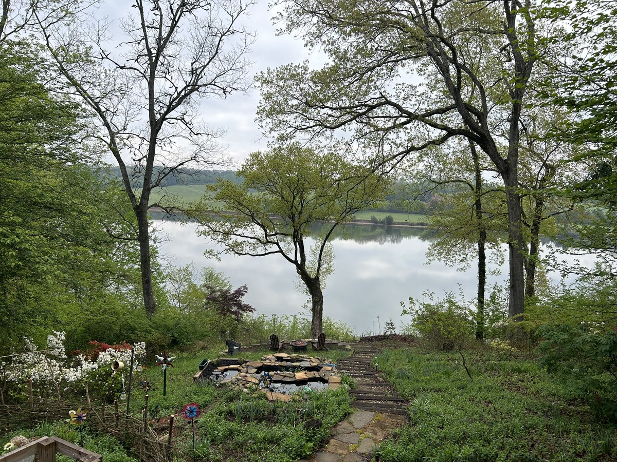 ayowriter's tweet photo. View this morning as we start our #DayToCreate #amwriting #writing #kidslit #writingcommunity @scbwi @SCBWIMidSouth https://t.co/qu4ZmSV54x