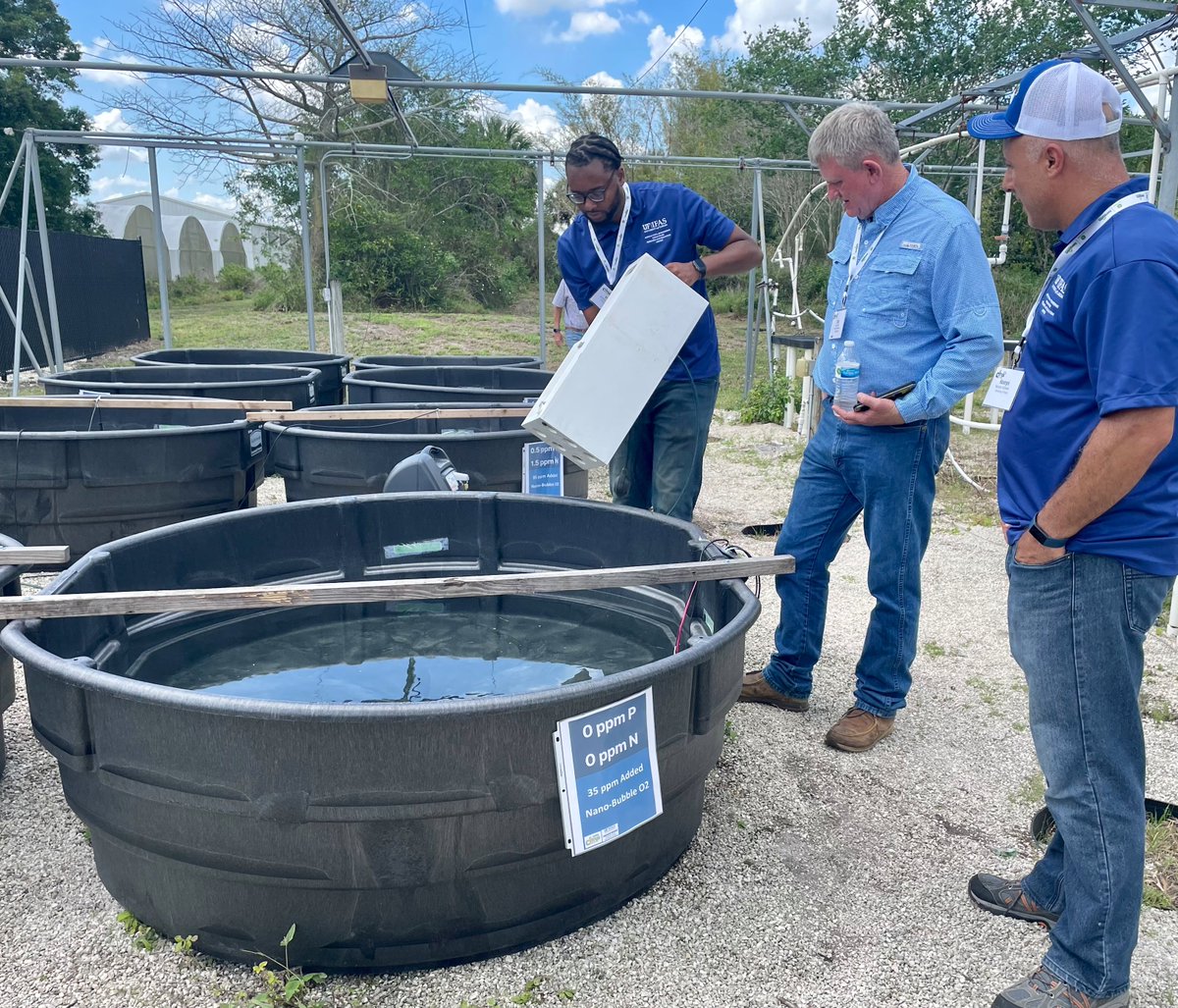 UFwatersan's tweet photo. My team nailed the 2023 Citrus Show! Big thanks to @UFIFAS_IRREC, USDA, and Indian River Citrus League for their invaluable contributions. From insightful educational sessions to the networking and tailgate, it was an unforgettable event. #proudPI @UF_ABE @UF_IFAS @IFAS_Extension https://t.co/KEOPNwRO0D