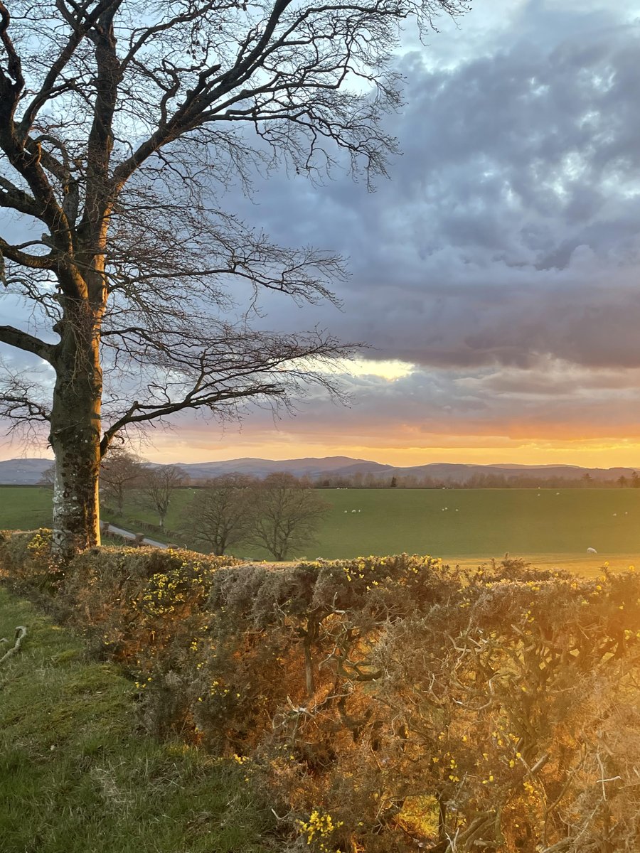 DGWGO's tweet photo. Sunset Towards #Auldgirth taken by Lisa McBurnie https://t.co/6CTk2mGVjF