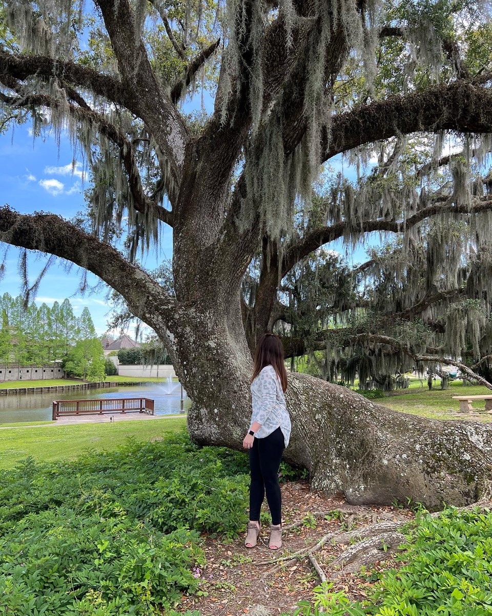 betsystamant's tweet photo. Weekend visit to Lafayette looks like balcony coffee, jaw dropping trees, Cheerio-eating turtles, boutique shopping, twinkle-light dinners in town, and quality time with Roxy, the best hostess ever ❤️🐢🥂🌳☕️🚗 @ACFWTweets
#weekendvacation #lafayette #southerncharm #friendship https://t.co/4ICihcjnNt