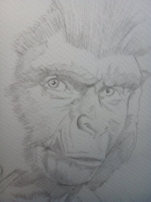 WIP so as a former make up artist i decided im just gonna do some illos of some fave make ups #art #illustration #Makeupfx #Theplanetoftheapes #Johnchambers #movies #classicmovies #bmovies #portraits #commissionsopen