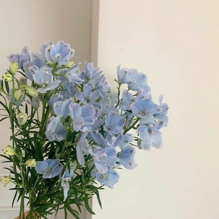 EvaLouys's tweet photo. 🦋Gunwook༺♡༻ Taerae🦋 https://t.co/ij4T024r82