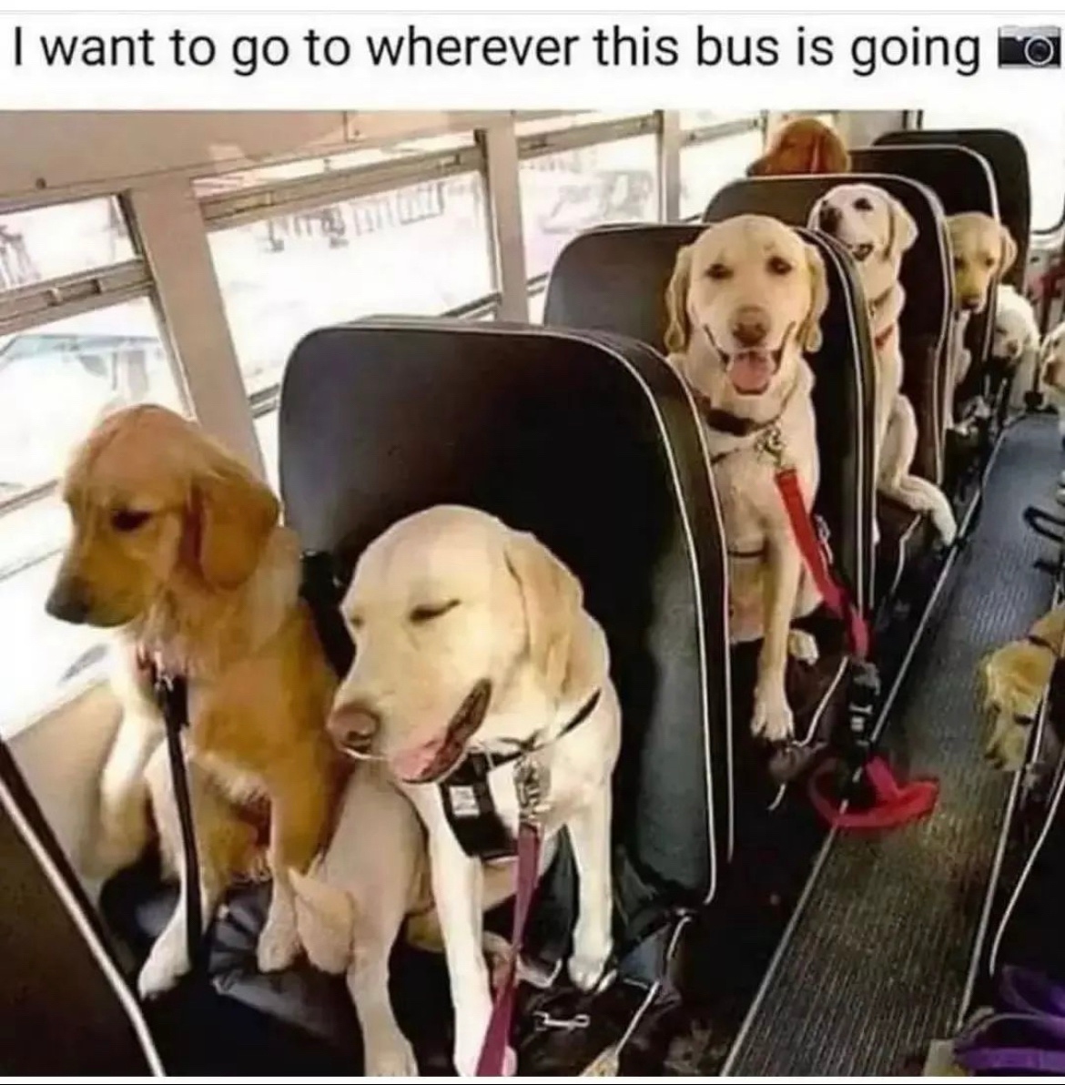 I've never wanted to be on a bus more.