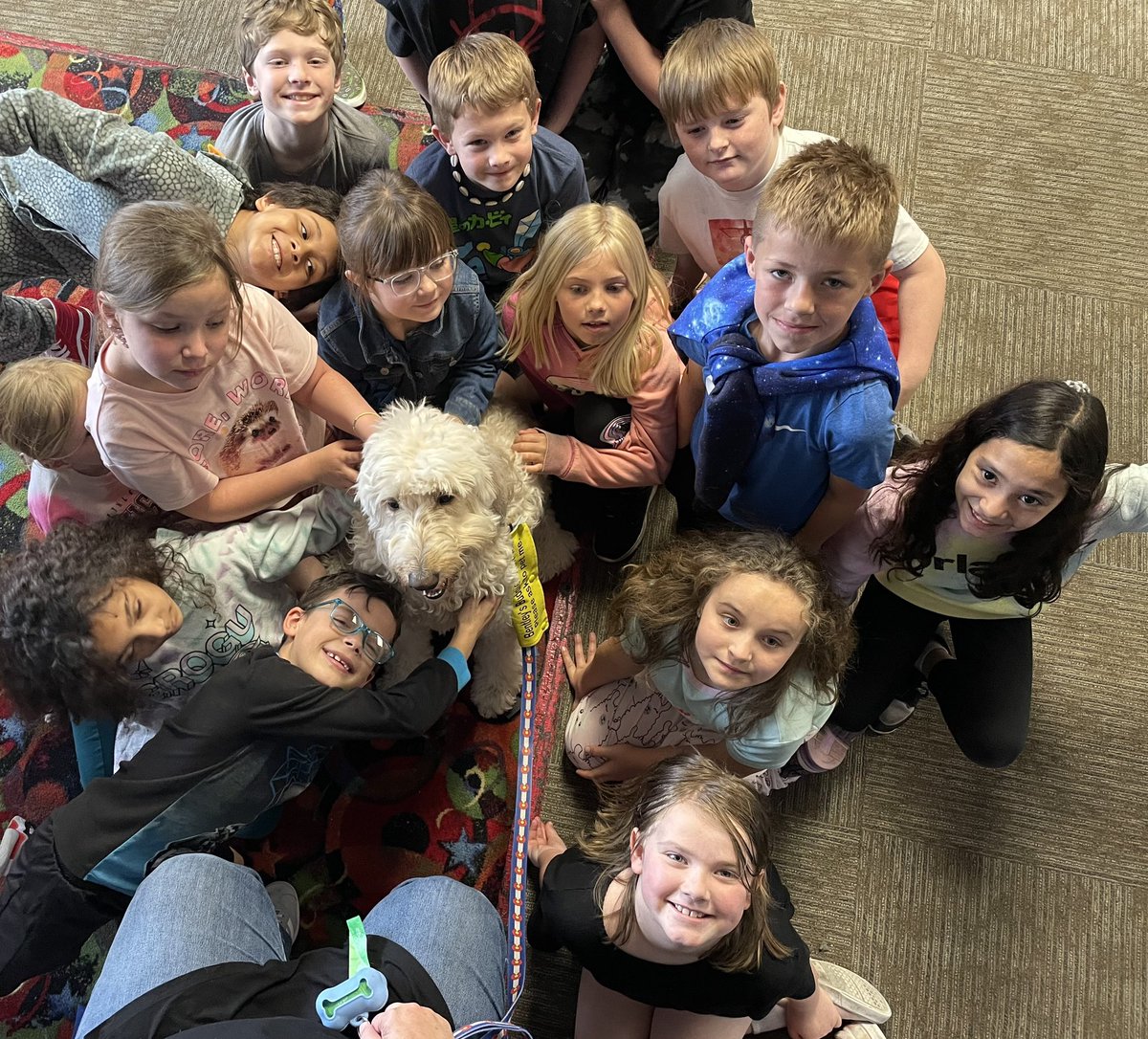 Angie Graddy tweet media