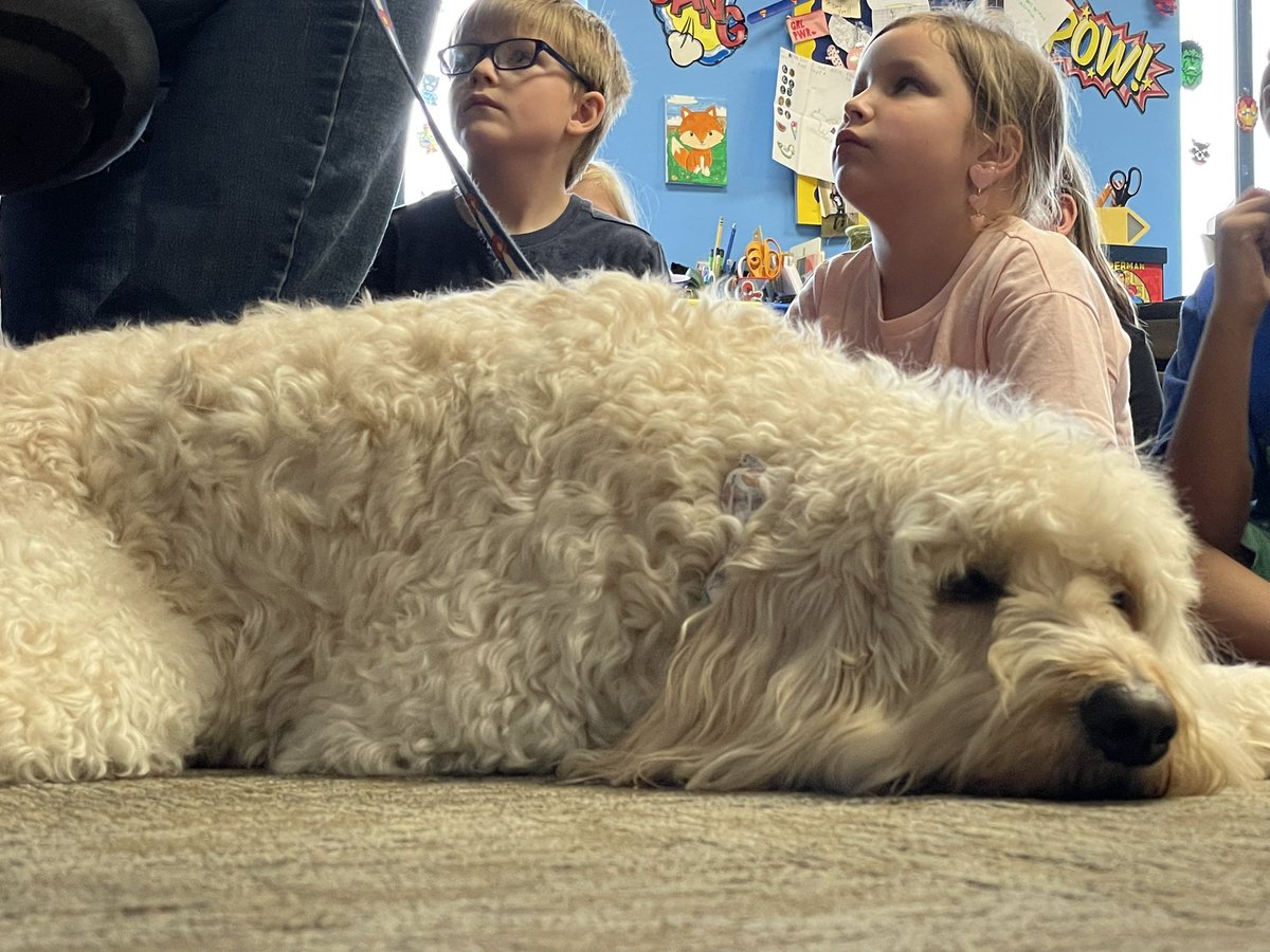 Bentley and his human joined us on Friday for a read aloud. #jbsrocks