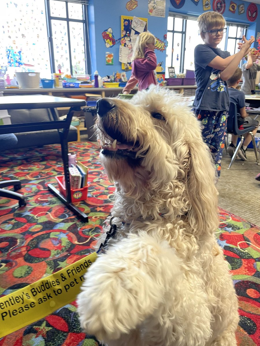 Angie Graddy tweet media