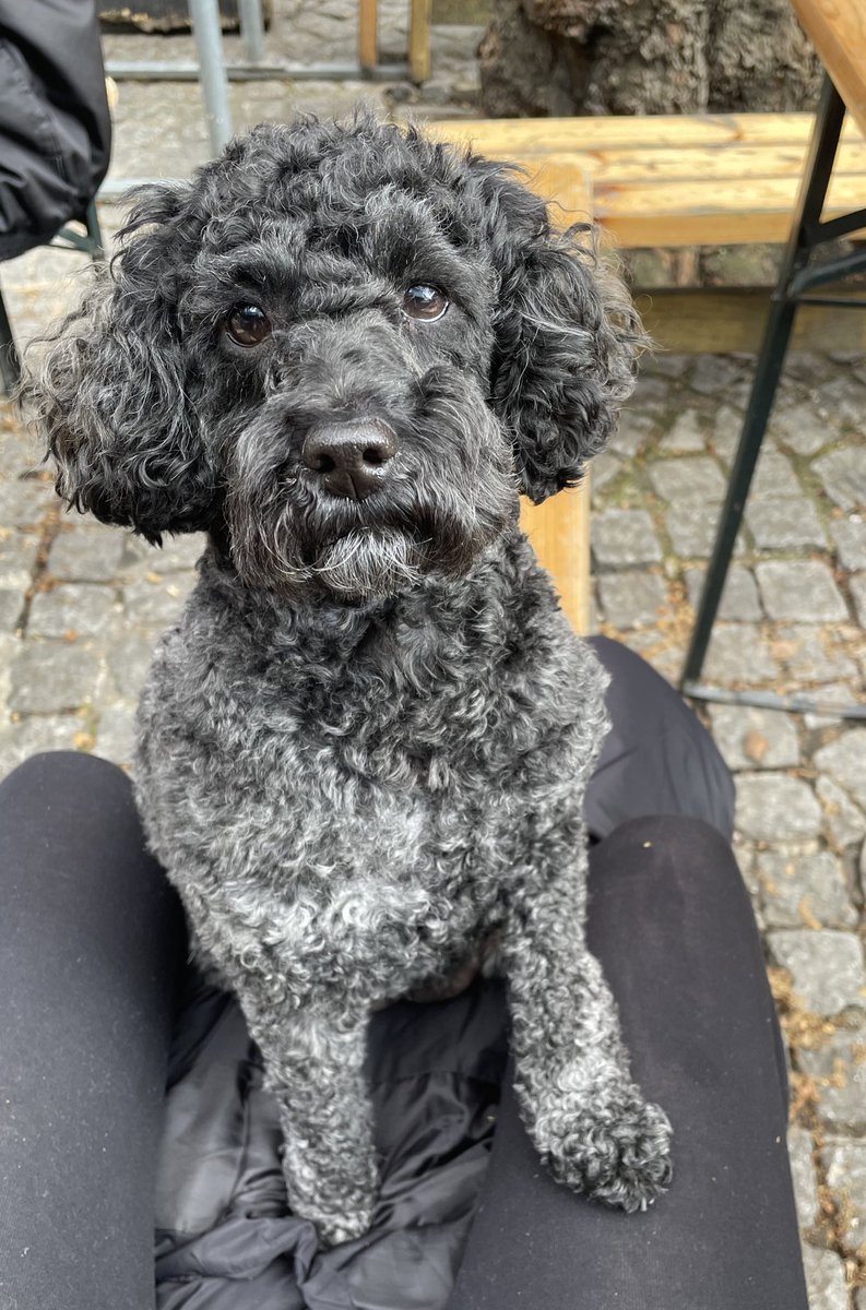 Charlotte Lawrence-Martin tweet media