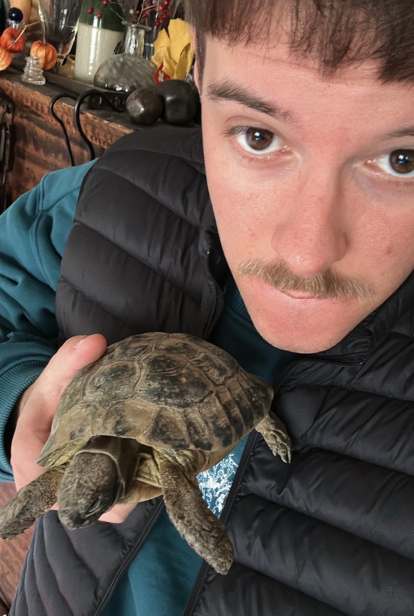 aditotoro tweet media