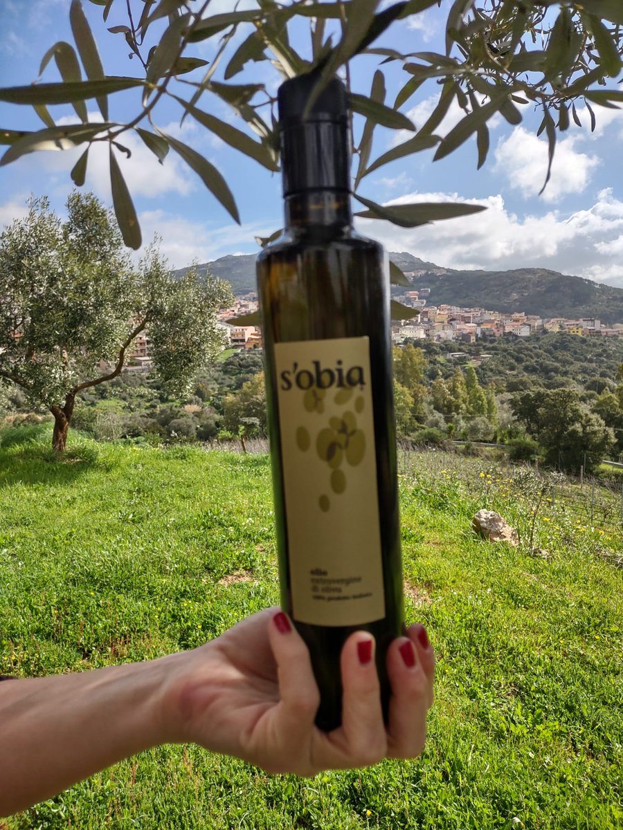 #Gibada #sobia #olioextravergine
Non solo vino ad Arbus! Da noi puoi trovare anche il nostro olio extravergine d'oliva.🫒

Not only wine in Arbus. Here you can also find our extra virgin olive oil.