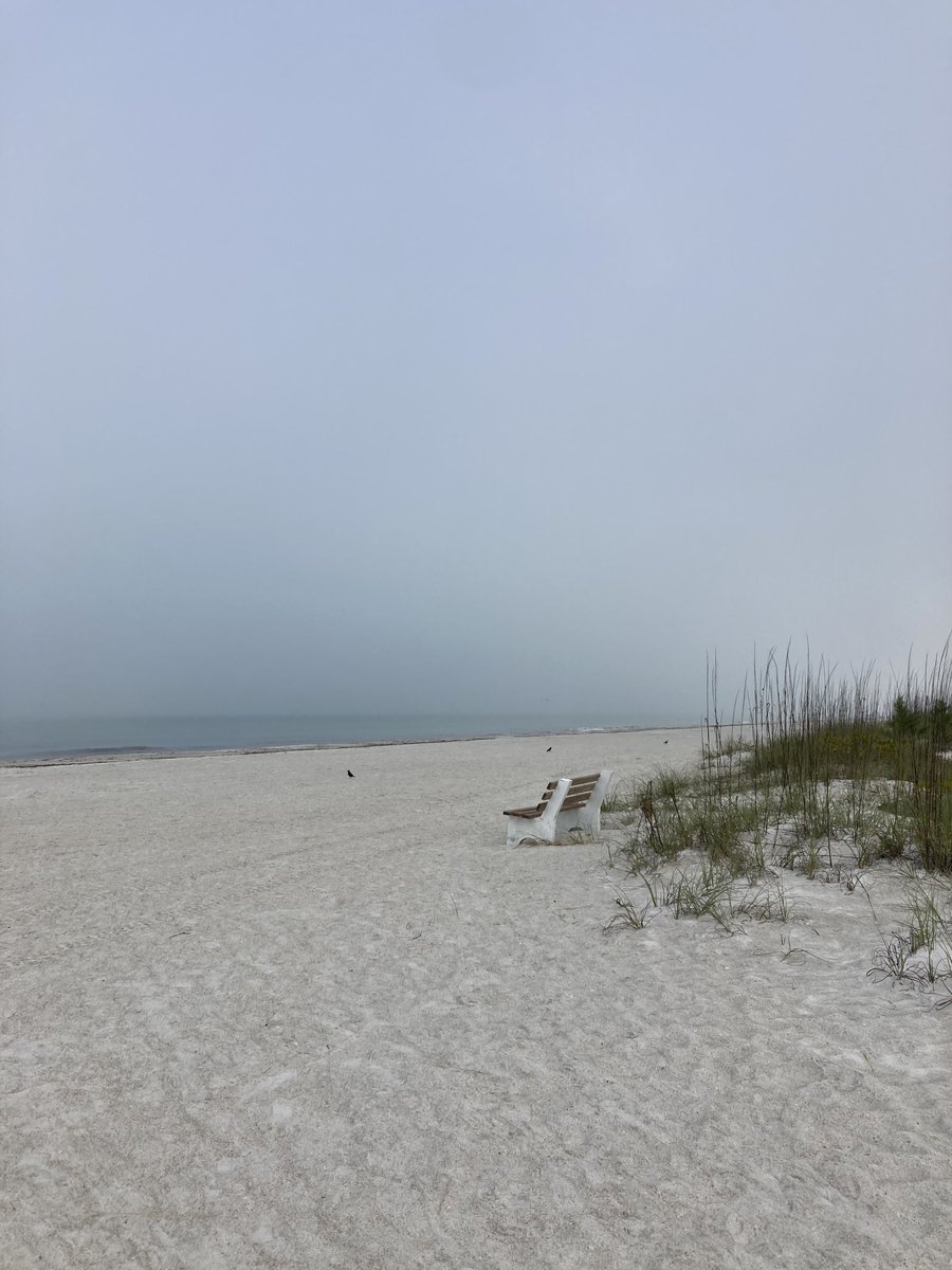 Island Unique tweet media