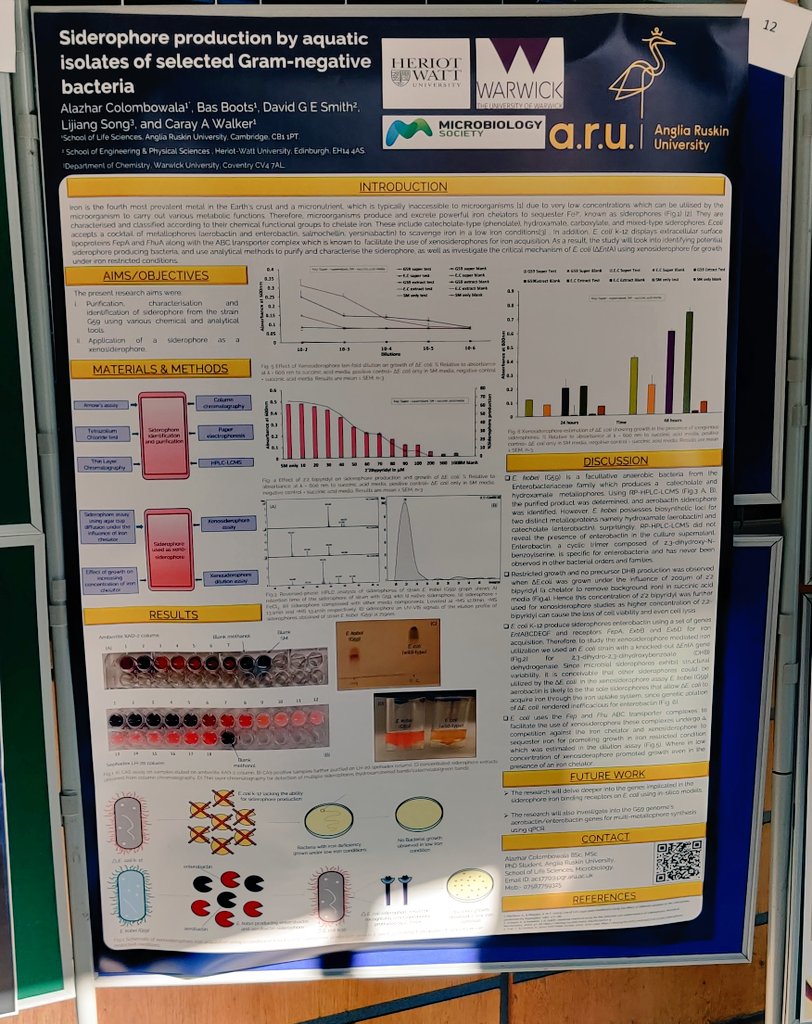 Az_Colombowala's tweet photo. Hey!! I'm presenting a scientific poster at #microbio23! Come say Hi. I'll be at Block B, P540 chatting about #drugdiscovery #noveltheraputics and #antimicrobialresistance
: exploring the #acquaticenviroment for #alternativemedicine 
@MicrobioSoc https://t.co/L7sF7DSQhh