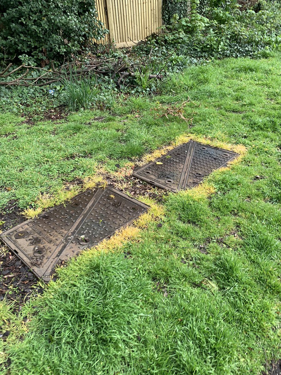 Alexander Bawden tweet media