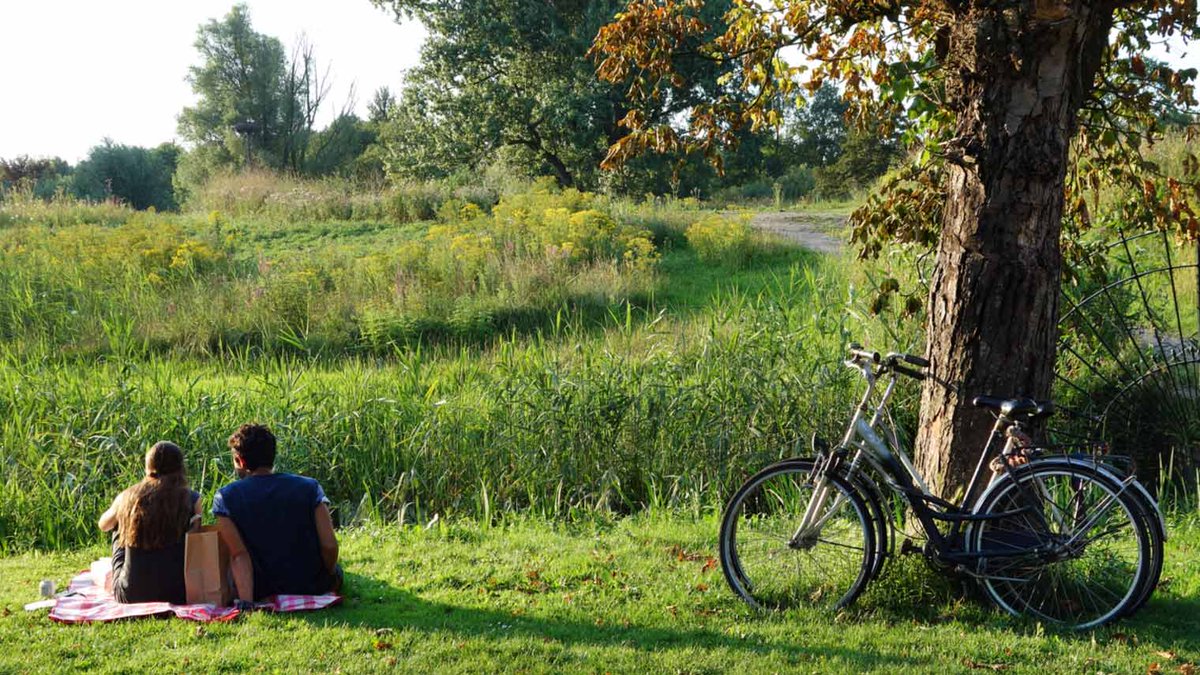 molenzichtosum's tweet photo. 🚴‍♀️ Ontdek het prachtige Twente op de fiets vanuit ons gezellige vakantiehuisje Molenzicht in Ootmarsum! 🏡 Rust na een dag vol avontuur uit op ons comfortabele terras met molenzicht. 🌳🌷 Reserveer nu voor een onvergetelijke fietsvakantie! #FietsenInTwente #Molenzicht #Ootmarsum https://t.co/Woc9m4C2HX