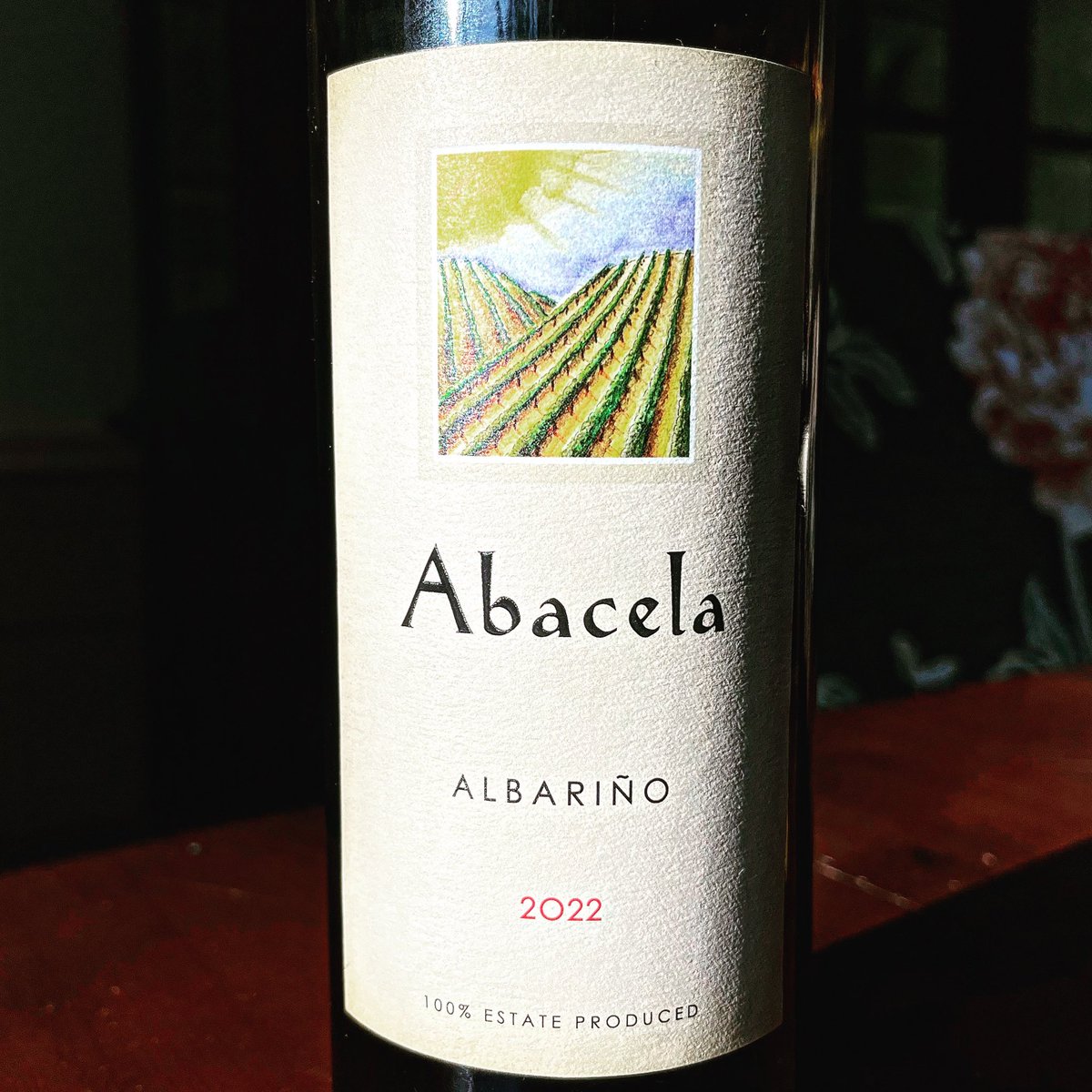 Today on the #NittanyEpicurean the 2022 #Albariño from <a href="/Abacela/">Abacela Winery</a> #wine #oregon #oregonwine #southernoregon #umpquavalley
nittanyepicurean.blogspot.com/2023/04/2022-a…