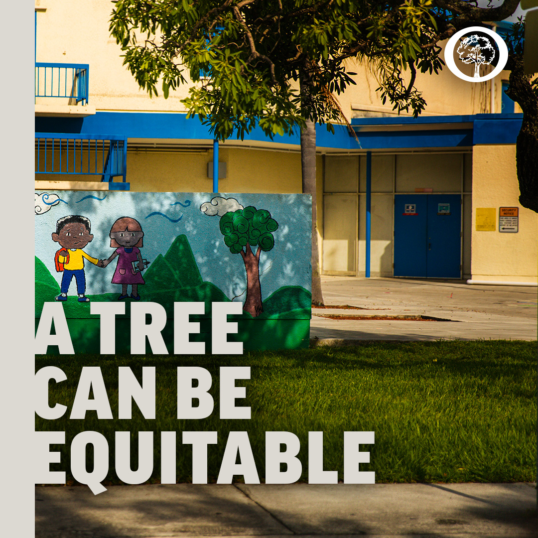 ManateeBeautiFL's tweet photo. 🌳Trees clean air, provide shade, nourishment, &amp; boost community health! With @ArborDayFoundation, we're planting trees in areas needing them most🍃. Let's grow green justice together🌍. Join our tree-planting event on Earth Day, 04-22-2023🌱! #GreenJustice #PlantForTheFuture https://t.co/dW6R1G07Tl