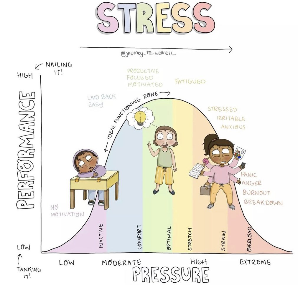 I often share this image as a provocation for teachers of the negative impact and unforeseen consequences of our assessment practice on student wellness.

Is our assessment practice doing more harm than good?

What do we want to let go of? And what do we want to do more of?