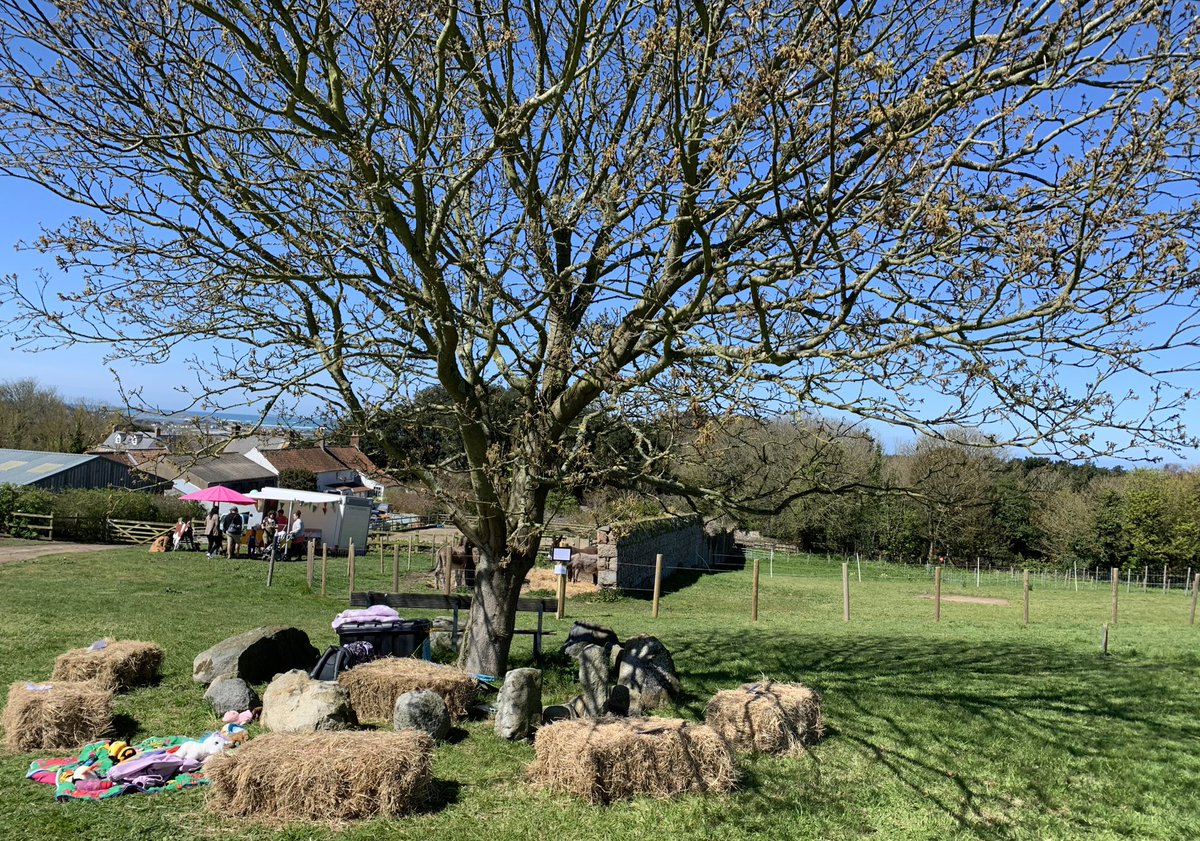 cthomasSLT's tweet photo. Today we attended the Open Day at Heritage Farm, where we were asked to supported in making the event more accessible. We added key @Signalong signs to the story tree and the children joined in beautifully. Thank you for having us and providing the platform to share key messages https://t.co/hgjoENfU4s