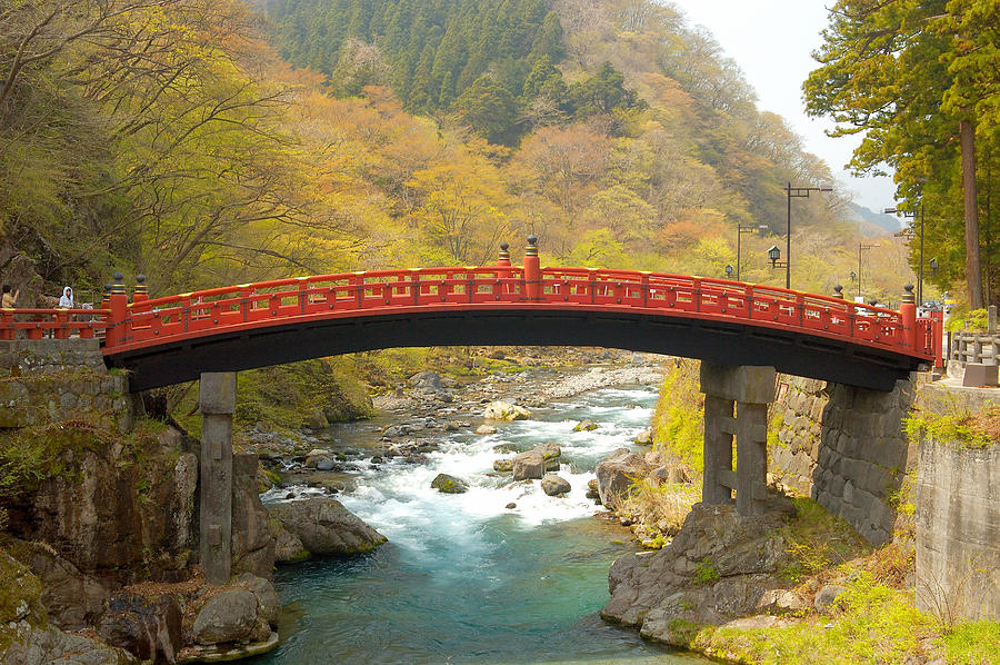 sebphotog's tweet photo. "Japanese Bridge" https://t.co/f9QrOlzYzL #photography #photo #zen #bridge #japanesebridge #japanesegarden https://t.co/ncb64OF9MW