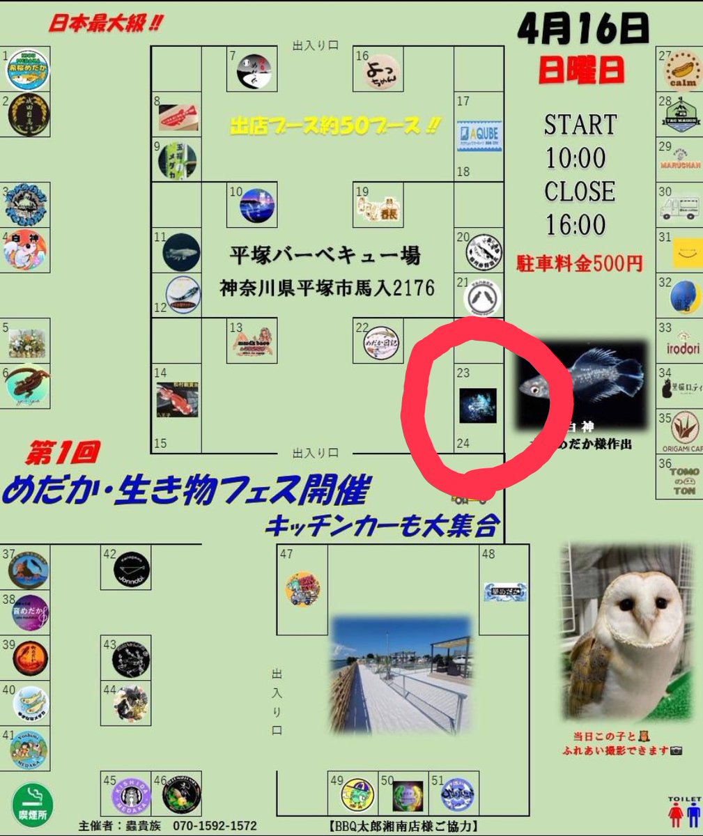 Dra78035246's tweet photo. 色々バタバタしてて久しぶりのツイートですみません(;_;)
明日平塚で出店する事になり射的と軽ーくメダカ販売しますので良かったらきてくださーい(｡ᵕᴗᵕ｡)
#hiratsukagood
#平塚市
#ちがすき
#breeze湘南マリーナ
#BBQ太郎湘南店
#射的
 #メダカ https://t.co/M4Ai8SDP6k