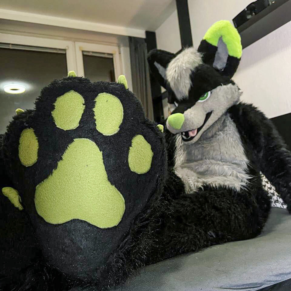 Have some beanz 👀

#furry