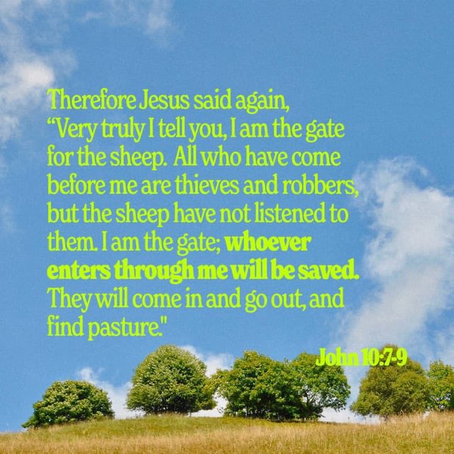 UcheChikwend's tweet photo. “Know that the LORD, He is God; It is He who has made us, and not we ourselves; We are His people and the sheep of His pasture.”(Ps 100:3) The Lord is our Shepherd, He leads us in the path of righteousness and ensures that we are fed and protected.  https://t.co/0TWfH5MTpE https://t.co/eu3Ekncxrd