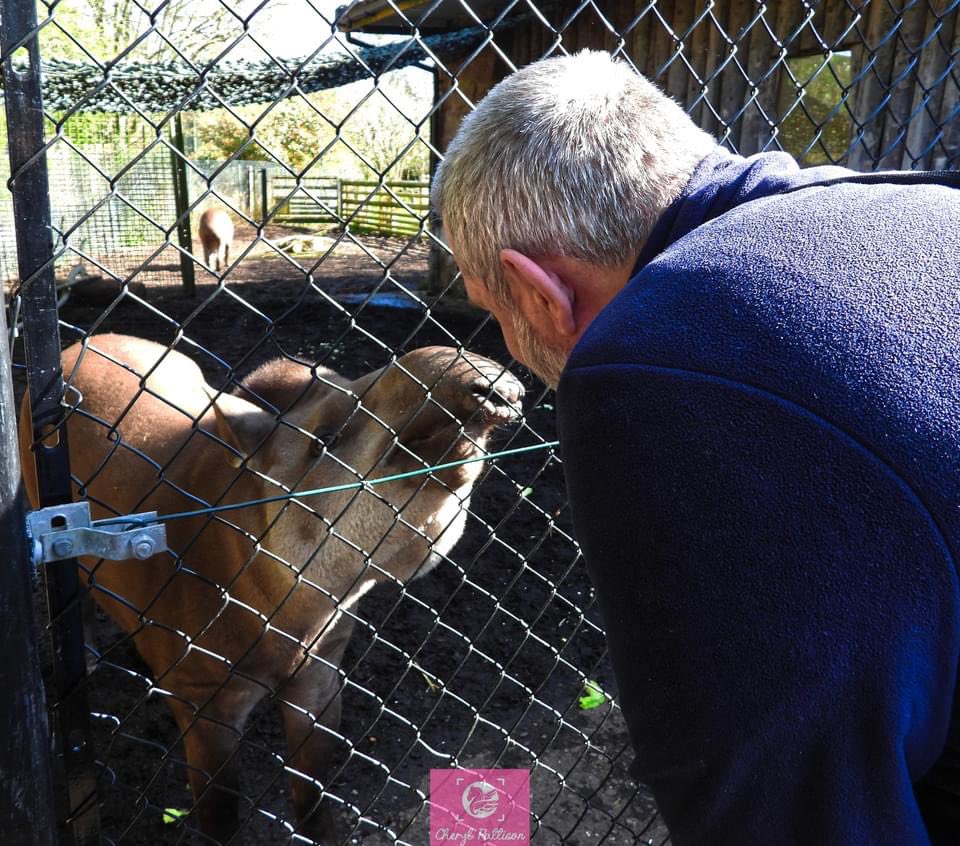 cherylpattison2's tweet photo. More #chesterzoo pics https://t.co/PJnuDfJfk2