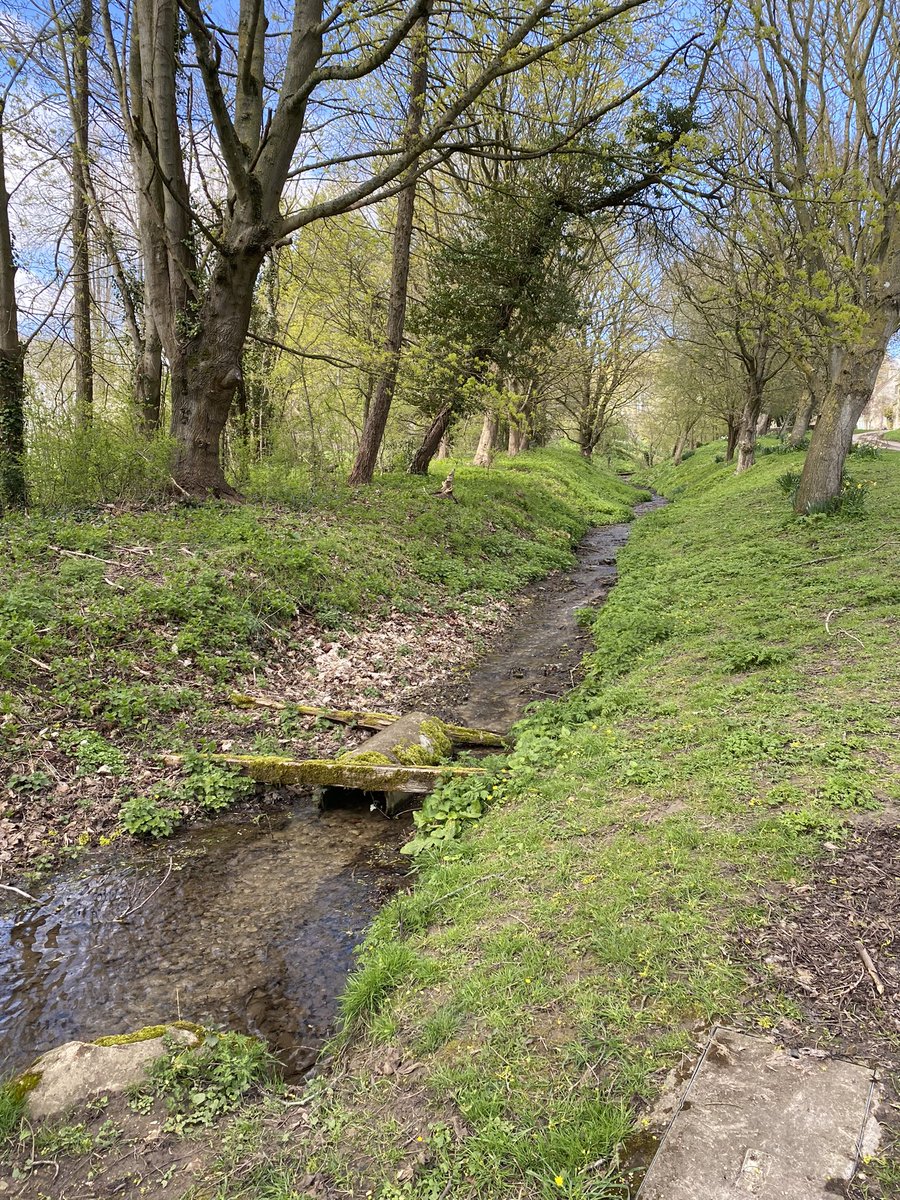 Fanny Blake tweet media