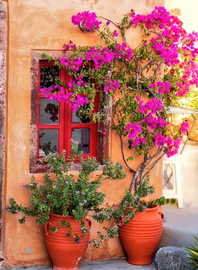 Paco Soriano 🇪🇦 tweet media