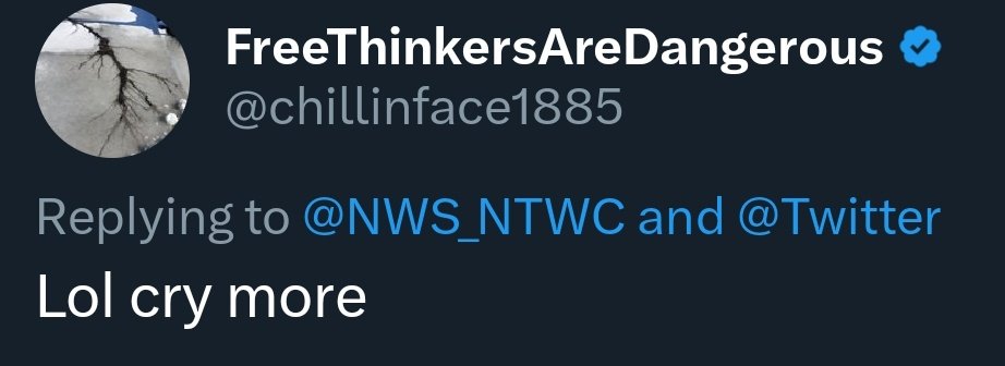 Twitter Blue subscribers are screaming at the National Tsunami Warning Center that they should pay Elon to post their tsunami warnings. These are the quality users Elon says will fill up your feed and get priority in replies to improve the site