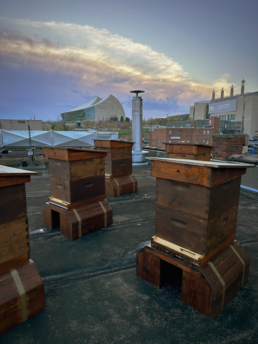 Not a bad view! 🏢🐝🐝🐝🐝
#bees #beekeeping #sunset #kansascity #kc #kcmo