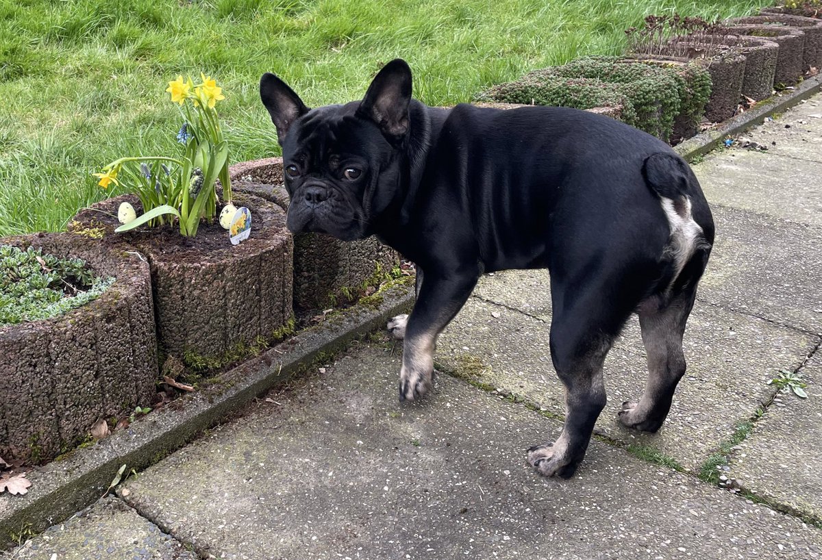 KamiKathrin tweet media