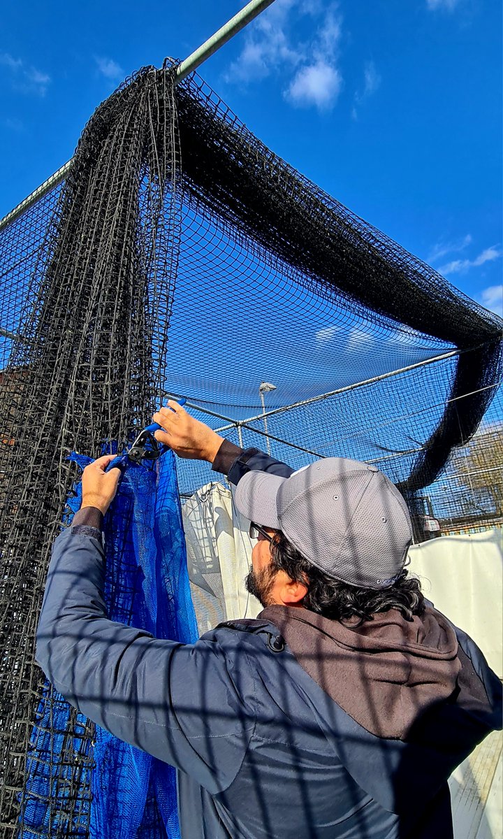 Newham Cricket Club tweet media