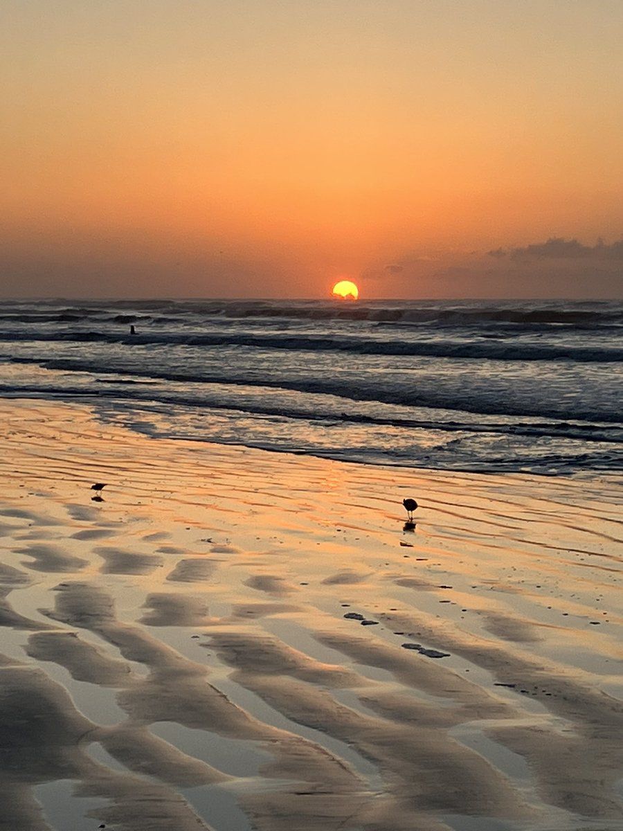 lisabmolina1's tweet photo. “Helios Will emerge with
Light from the womb
at the end of the world”
From my book “Womb Worlds”
#finishinglinepress
(DM me for a signed copy.) Photo by me
#poems #publishedpoems #WritingCommnunity #childhoodcancersurvivor #leukemia #chapbook #hope #poet #trauma #spiritualgrowth https://t.co/3dn20xsQqu