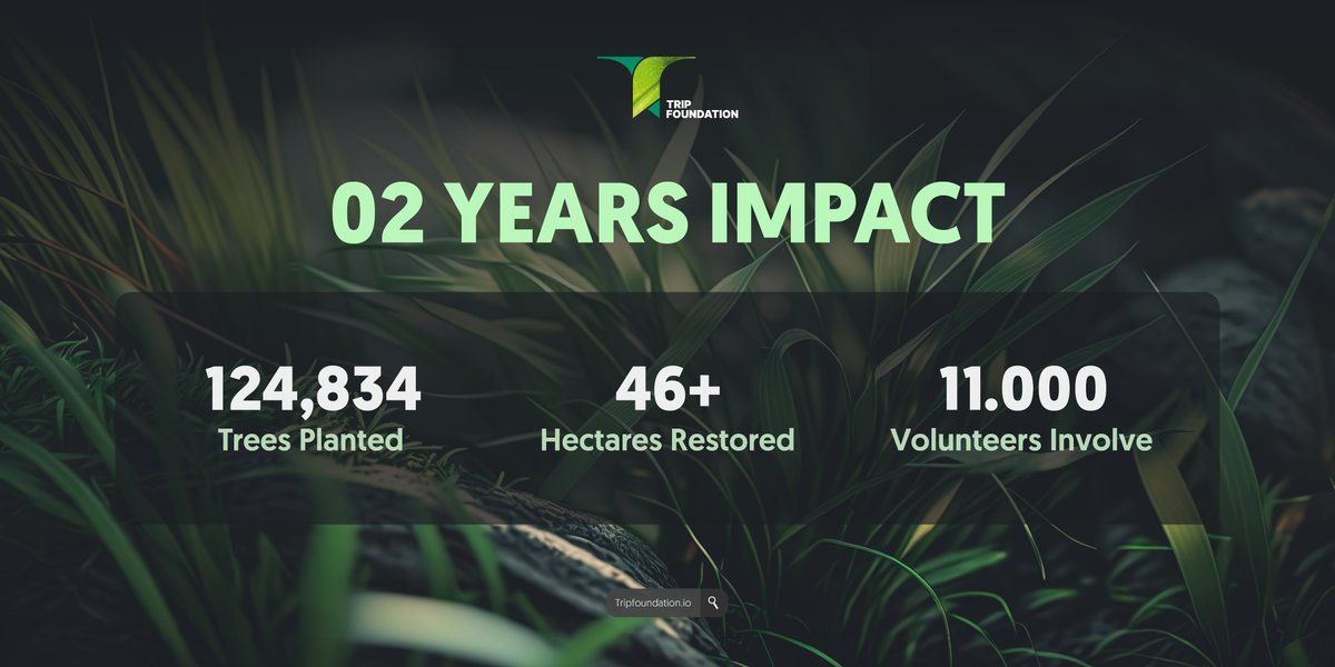 GreenFoundhssm's tweet photo. Over the past 2 years, the Trip Foundation community has planted 120,000+ trees by making an impact through TripFoundation Ecosystem🌱
Planting trees with us now at:
https://t.co/Pr8DkPUtTF
#Tripfoundation #refi #crypto https://t.co/roeBDFwPpC