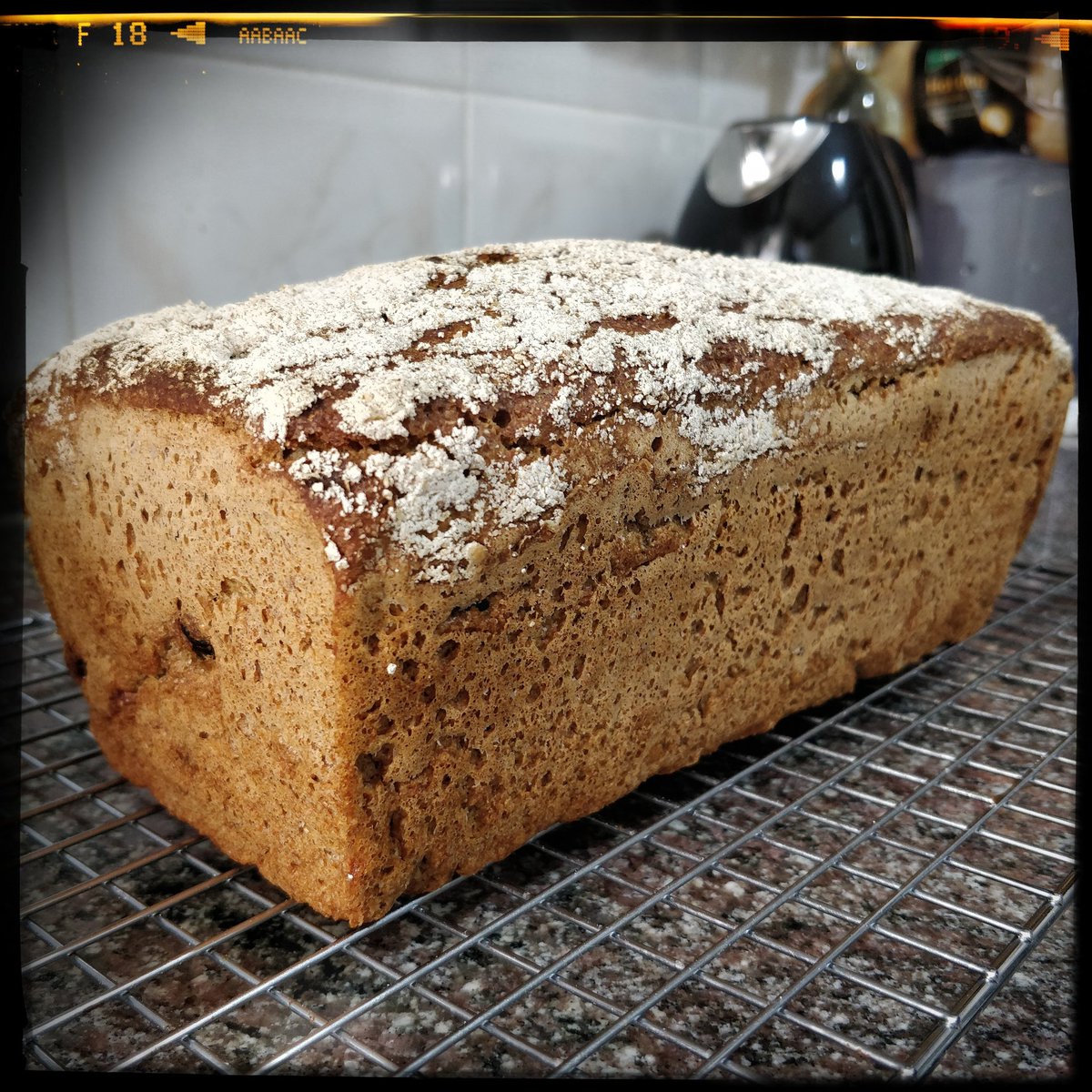 elbaranda's tweet image. ¡Había ganas de pan de centeno de MM para los desayunos!
Éste con nueces, avellanas, cardamomo, ciruelas pasas y pasas sultanas.
¡Lástima qué no os llegue el aroma! 😉👌
#yopanarra #pancasero #pandeverdad #pandemasamadre #pandecenteno #rye #ryebread #masamadre