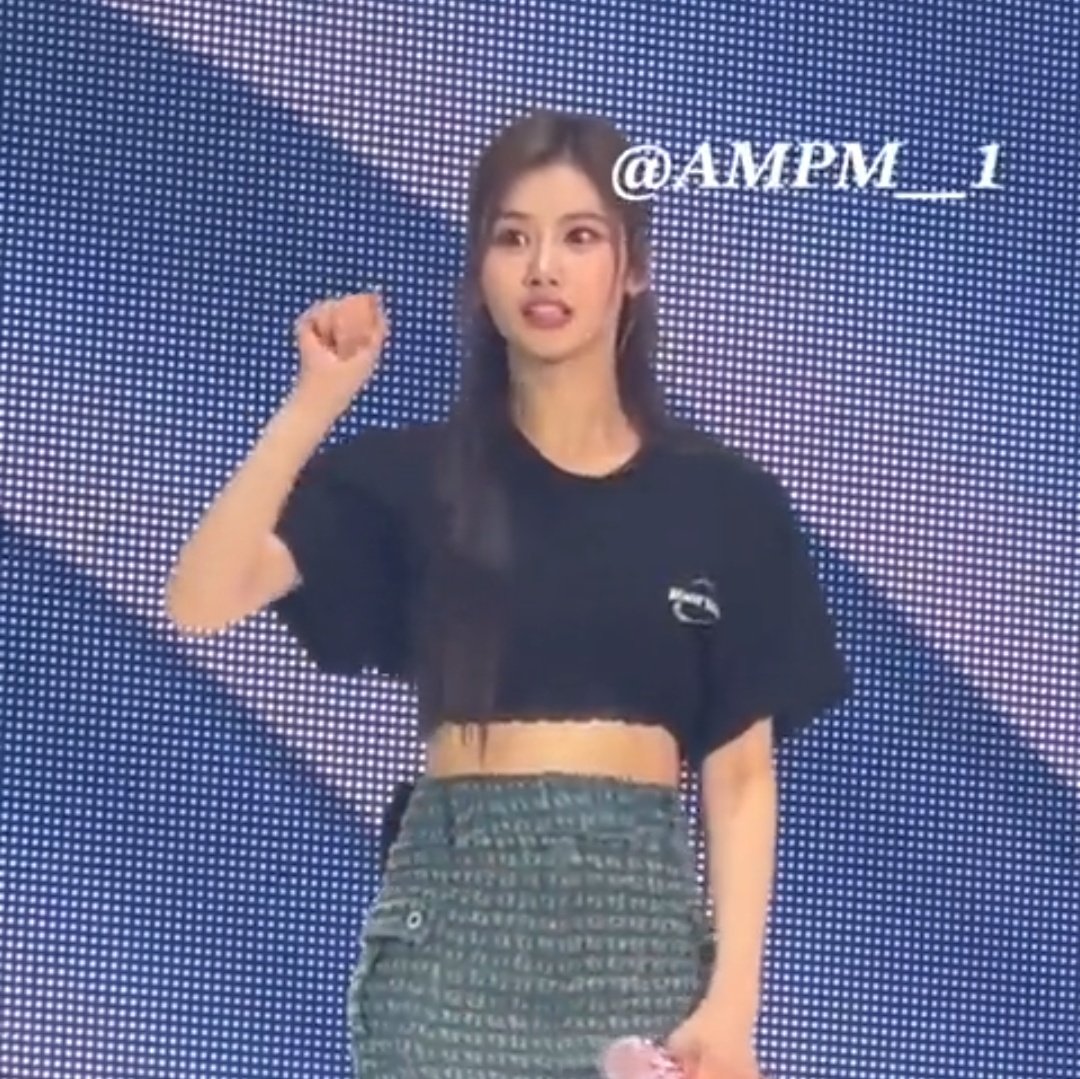 LuminousSANA's tweet photo. I don't know what is she doing but what I know it's cute 😭 

#TWICE_5TH_WORLD_TOUR
#READYTOBEinSEOUL_D1 
#SANA #사나 #サナ https://t.co/RjPiCBAiVq