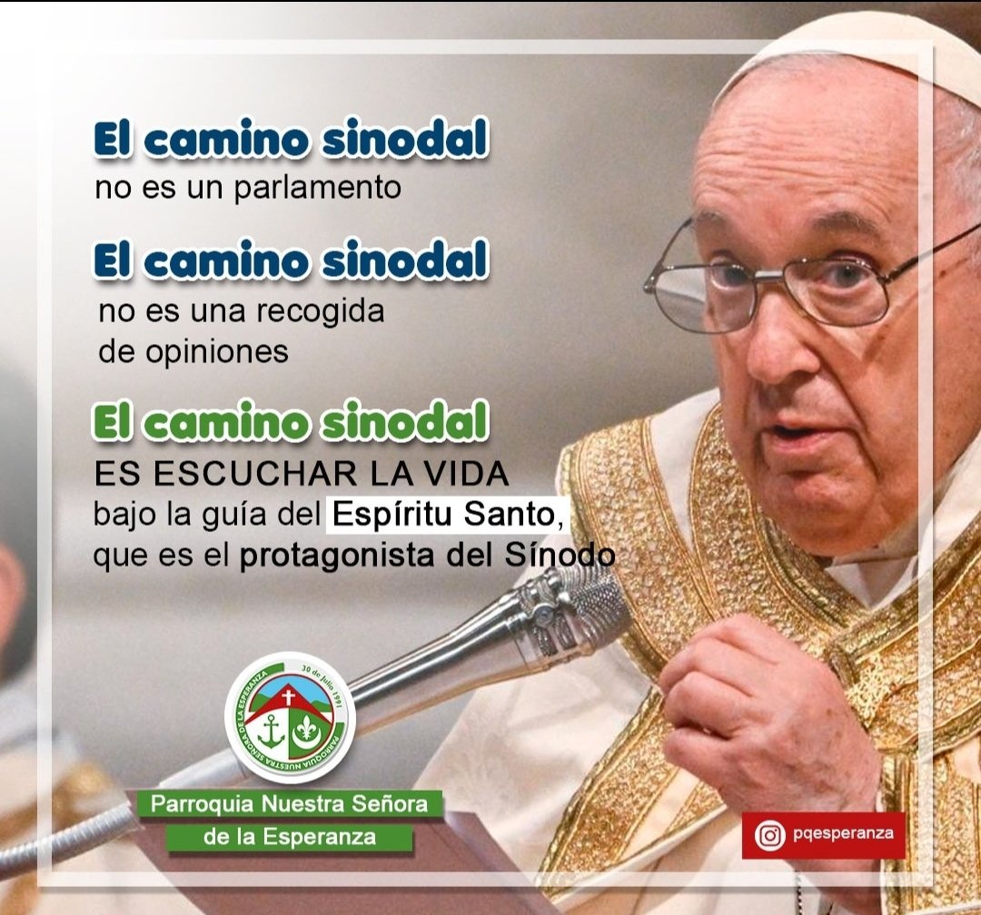 El camino sinovial no es un parlamento. El camino sinovial no es una recogida de opiniones. El camino sinovial es escuchar la vida bajo la guía del Espíritu Santo que es el protagonista del sinodo